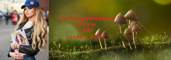наркотики Шали