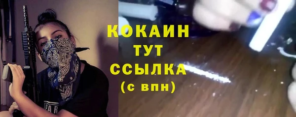 трава Шарыпово