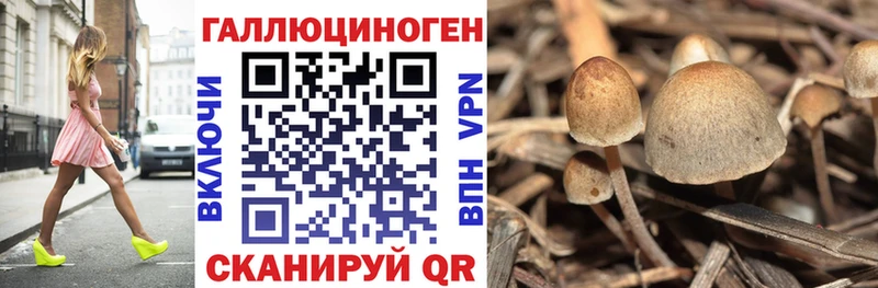 Галлюциногенные грибы Cubensis Железноводск