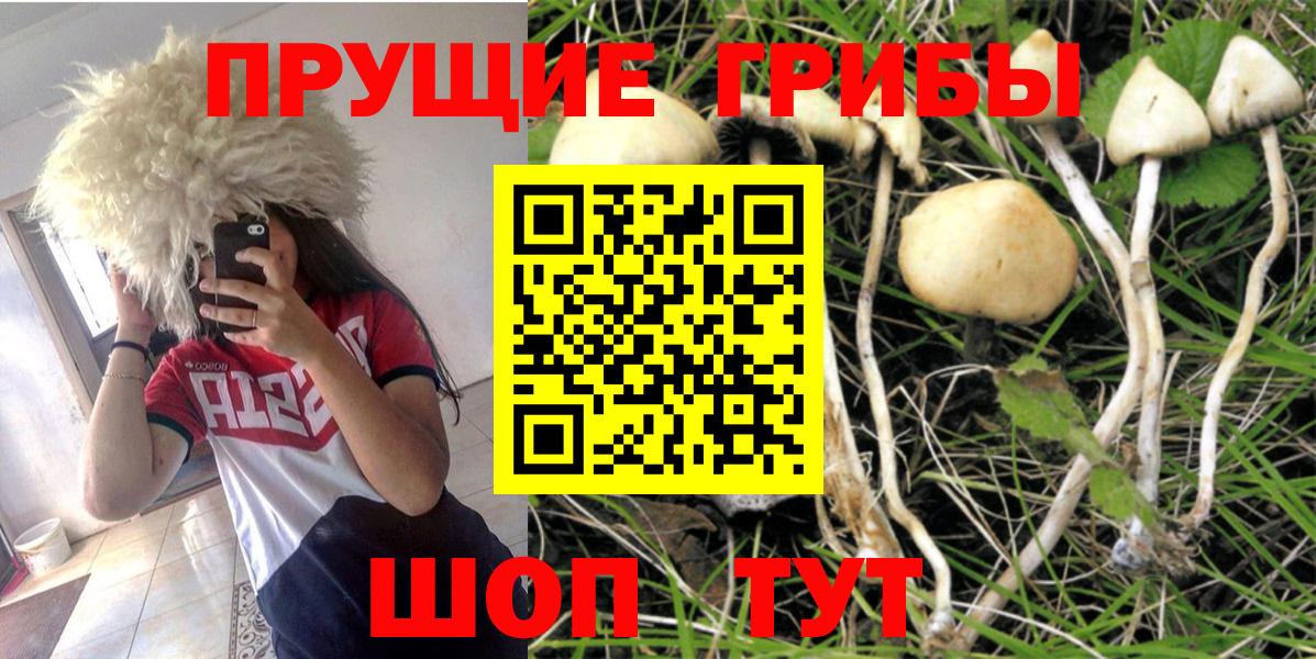 Галлюциногенные грибы ЛСД Железноводск