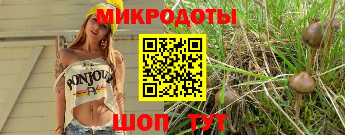 Галлюциногенные грибы ЛСД  Железноводск  Галлюциногенные грибы MAGIC MUSHROOMS 